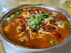 -煲来饱去冷水鱼