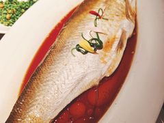清蒸白水鱼-醉庐·新上海菜(南京西路店)