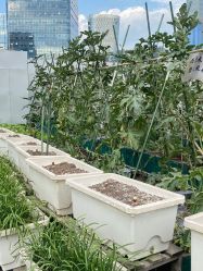 -梦田都市农场(银泰城店)