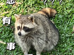 -广州动物园