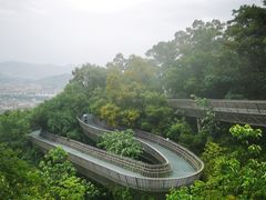 -福道