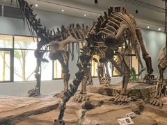 -自贡恐龙博物馆