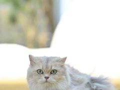 -深圳湾万象城(南山店)