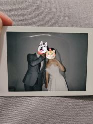-布丁婚纱摄影工作室
