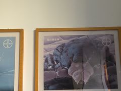 -瑞派福兴宠物医院犬猫全科·骨科·中西医结合(河东店)