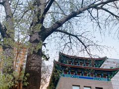 -中央民族大学