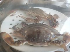 -港畔赶海蒸汽海鲜烧烤自助(仙螺岛店)