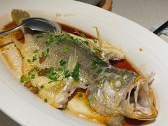 潮汕普宁豆蒸黄花鱼-维园悦谱·海派家常菜(乌鲁木齐南路店)