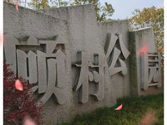 -顾村公园