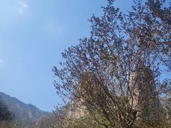-雁荡山大龙湫景区