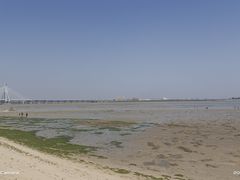 -北海金海湾红树林生态旅游区