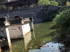 -梦姑塘文化公园