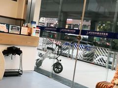 -伟伟宠物医院·瑞派猫友好医院·猫科(光谷店)