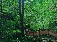 -瓦屋山景区