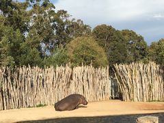 -威勒比开放式动物园