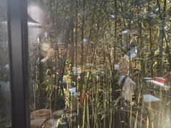 -荷风细雨·中国茶宴(碧云店)