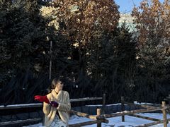 -哈尔滨波塞冬海底世界