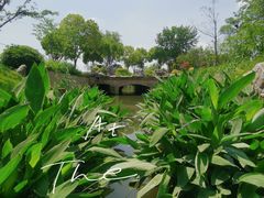 -羊山湖公园