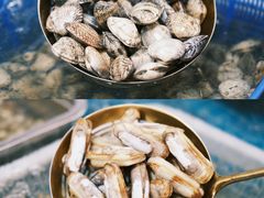 -甬小馆·焗海鲜温州菜(五马街店)