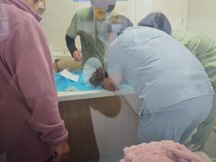 -达爱动物医院·犬猫分区·CT·复杂眼科(远洋山水分院)