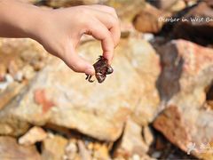 -西涌国际滨海旅游区