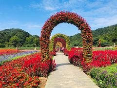 -广州市石门国家森林公园