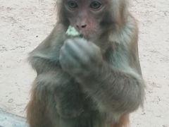 景点-西安世博园