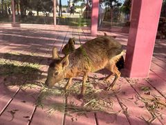 -渔岛海洋度假区