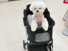 -御宝贝24h宠物医院·转诊中心·CT核磁血透中心(厦门总院)