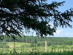 -塞罕坝国家级自然保护区