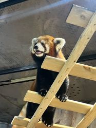 -Zoolung Zoolung动物主题公园(海信广场店)