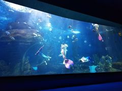 -多彩贵州城极地海洋世界