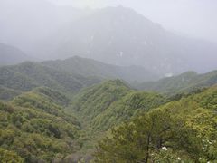 -沣峪口