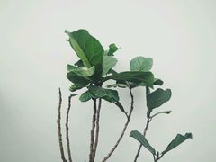 -UNI UNI(环亚凯瑟琳店)