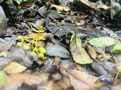 -上海昆虫博物馆