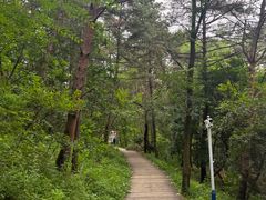 -帽儿山国家森林公园