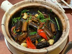 黄鳝啫啫煲-惠食佳(滨江大公馆店)
