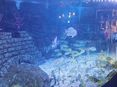 -烟台海昌鲸鲨海洋公园