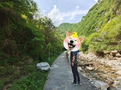 -少华山国家森林公园