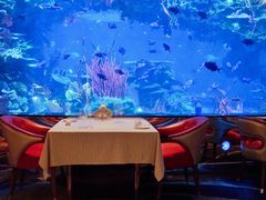 -迪拜帆船酒店海底餐厅