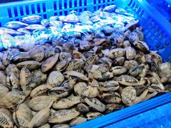 -鸽子侯·家宴·平价海鲜(市图书馆店)