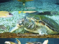 -广州海洋馆
