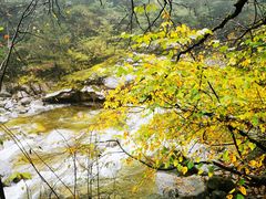-青峰峡国家森林公园
