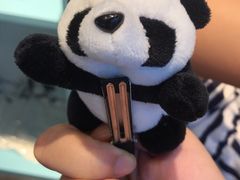 -都江堰中华大熊猫苑