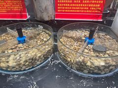 -汉江山料理级自助烤肉黑金冠(周口好吃城店)
