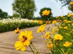 -汉长安城未央宫国家考古遗址公园