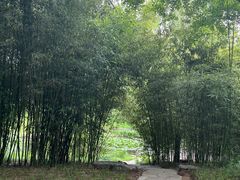 -皇家御河游(紫御湾码头)