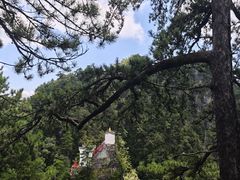 -塔云山
