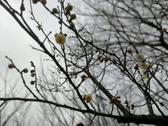 -尚贤河湿地
