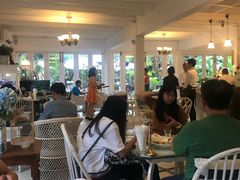-Fern Forest Cafe